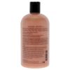 Melon Daiquiri Shampoo, Bath and Shower Gel by Philosophy for Unisex - 16 oz Shower Gel