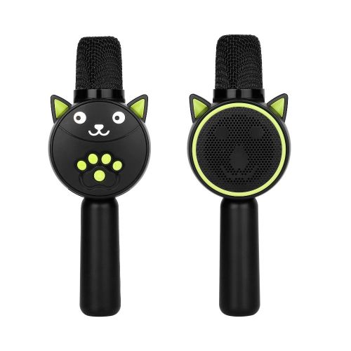 Karaoke Speaker Microphone