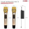 5 Core Wireless Microphones Pair UHF Professional Handheld Microfonos Inalambricos Dual Cordless Mic System for Karaoke Singing Wedding DJ Party Speec