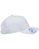Flexfit 110C Adult Pro-Formance Solid Cap